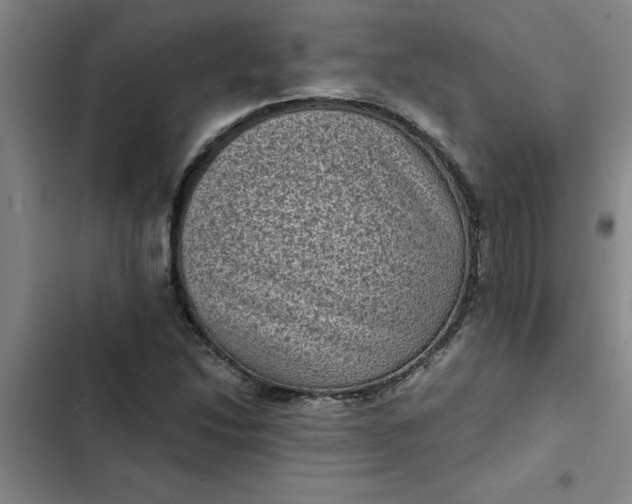 X0000102481214200808221659