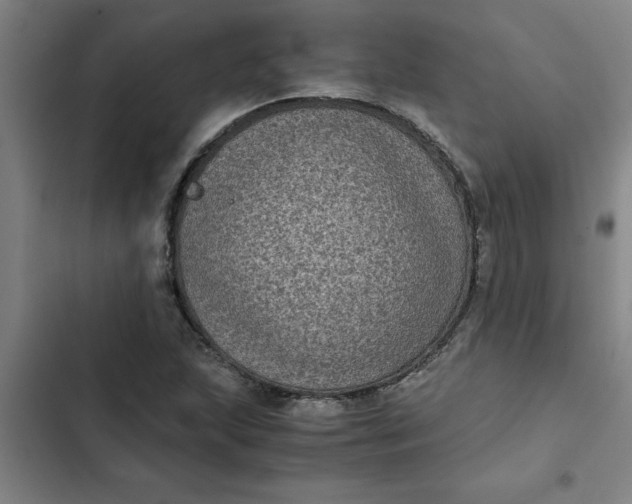 X0000102481215200808221659