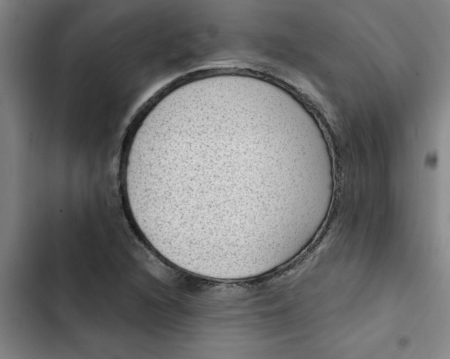 X0000102481216200808221659