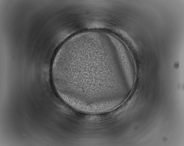 X0000102481217200808221659