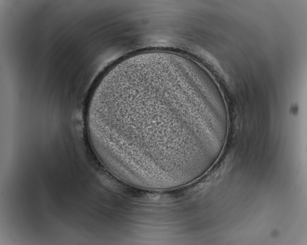 X0000102481218200808221659