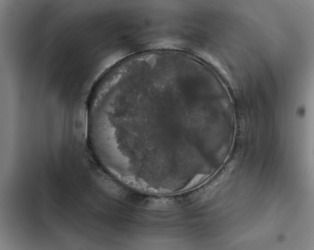 X0000102481219200808221659