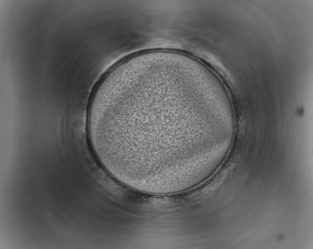 X0000102481220200808221659