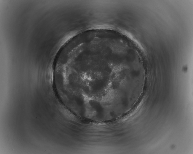 X0000102481221200808221659