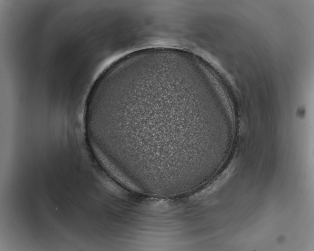 X0000102481222200808221659