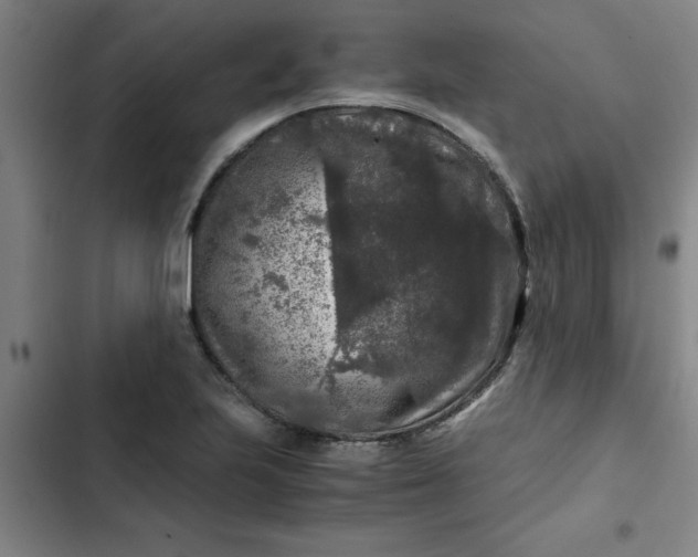 X0000102481223200808221659