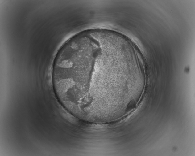 X0000102481224200808221659