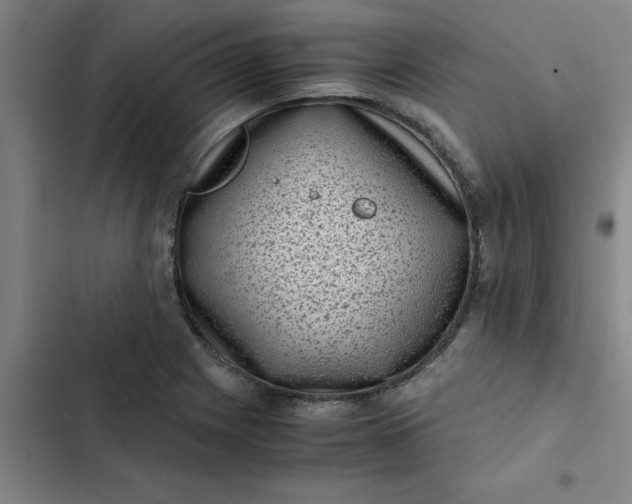 X0000102481225200808221659