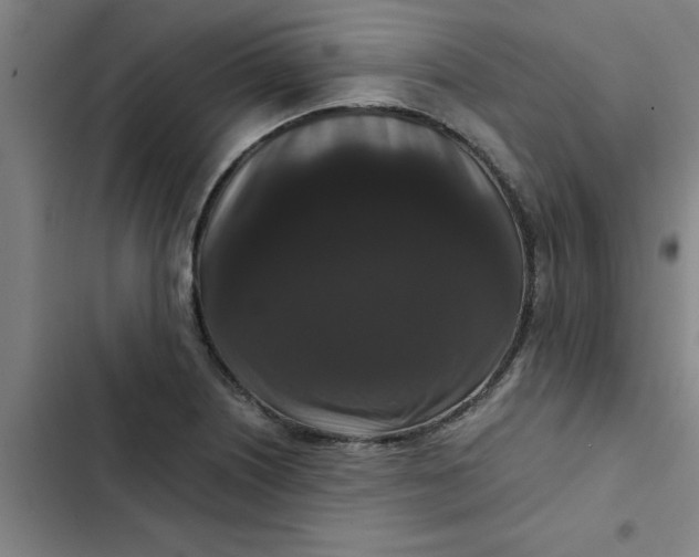 X0000102481226200808221659