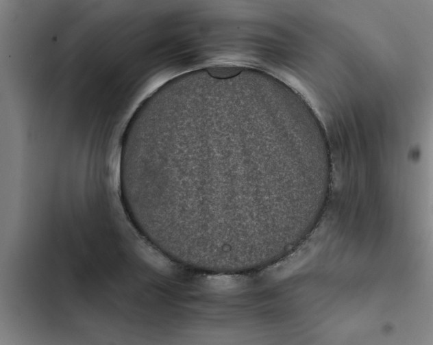 X0000102481227200808221659