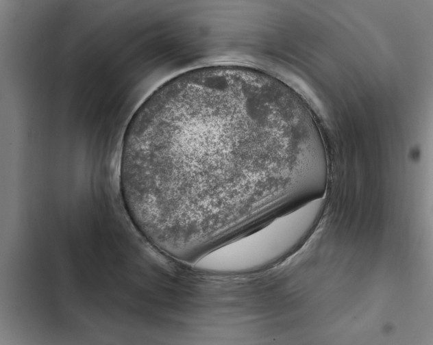 X0000102481228200808221659