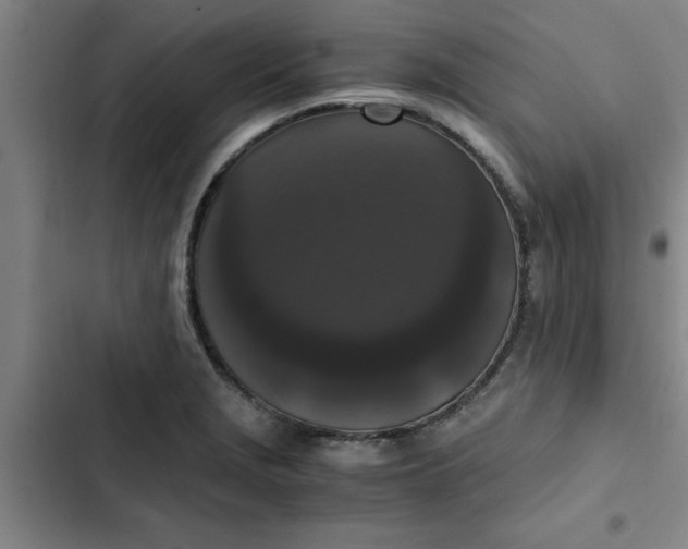 X0000102481229200808221659