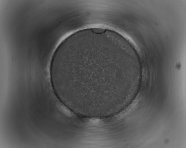 X0000102481230200808221659