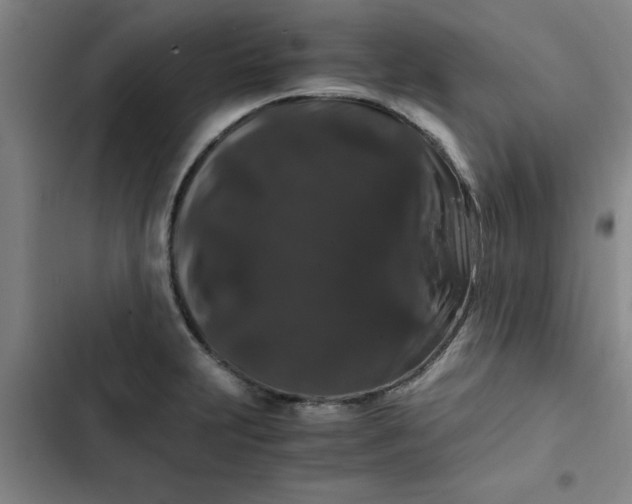 X0000102481231200808221659