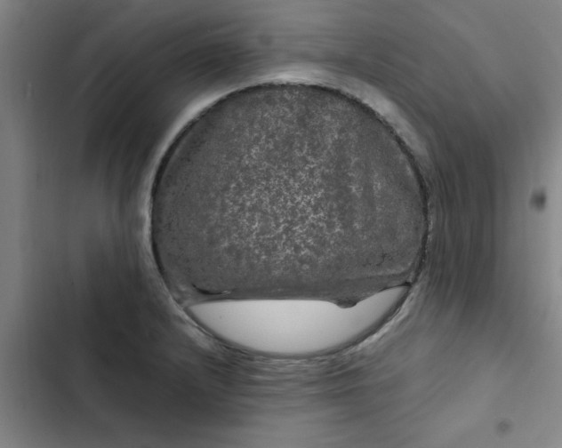 X0000102481232200808221659