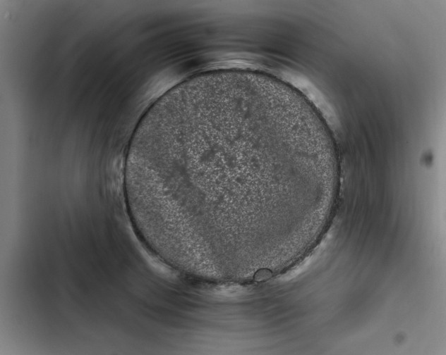 X0000102481233200808221659