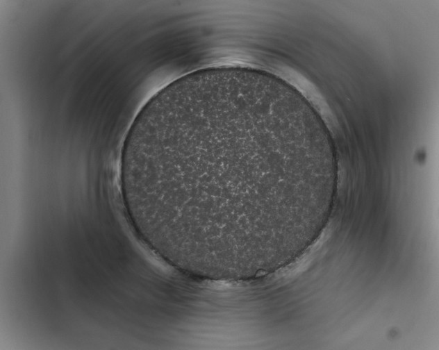 X0000102481234200808221659