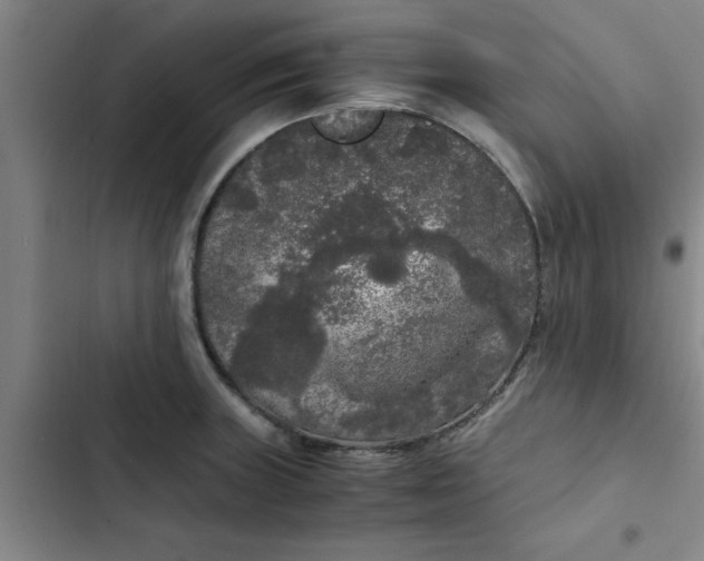 X0000102481235200808221659