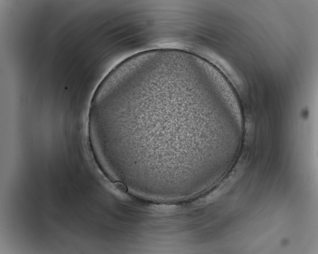 X0000102481236200808221659