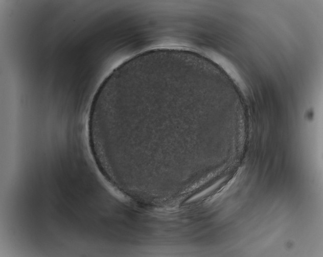 X0000102481237200808221659