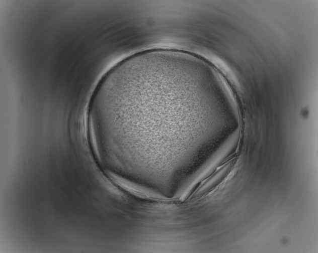 X0000102481238200808221659