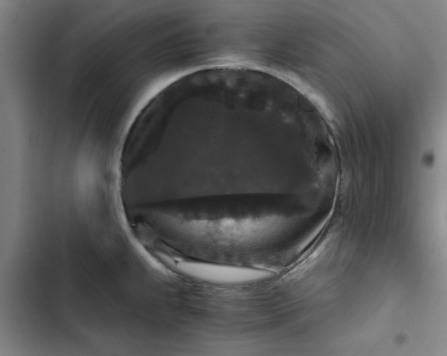 X0000102481239200808221659