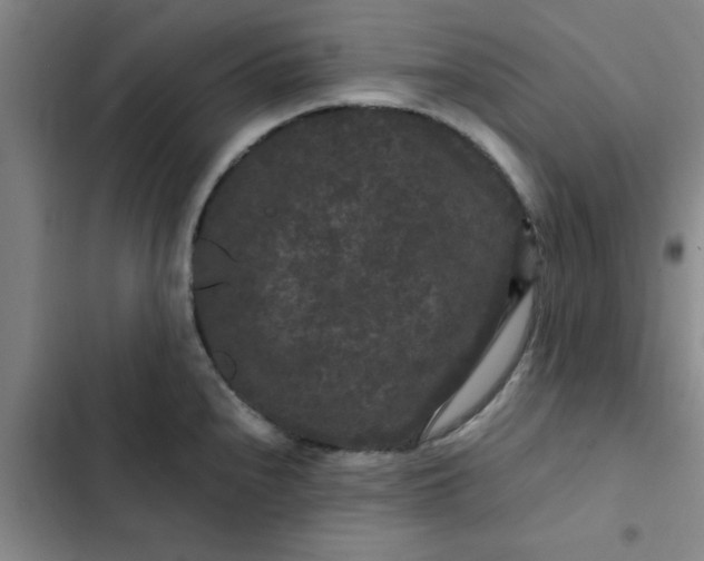 X0000102481240200808221659