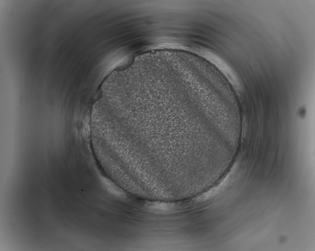 X0000102481241200808221659