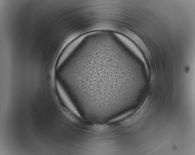 X0000102481242200808221659