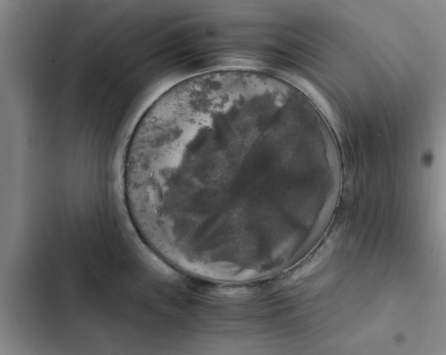 X0000102481243200808221659