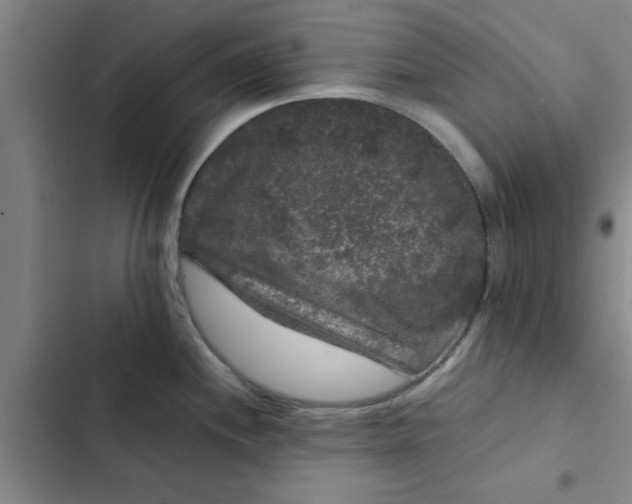 X0000102481244200808221659