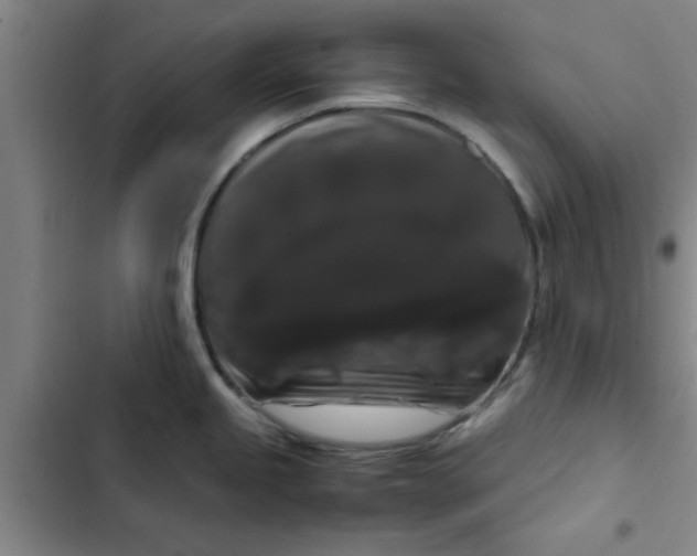 X0000102481245200808221659