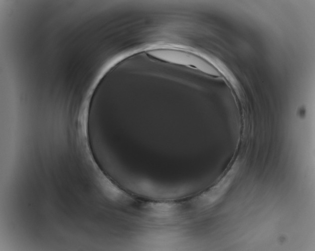 X0000102481246200808221659