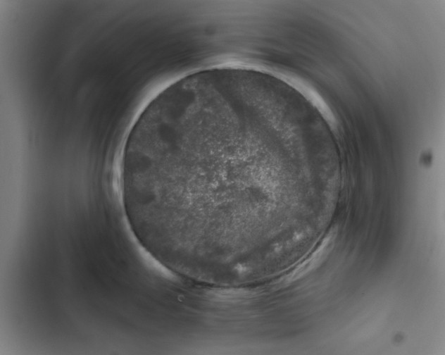 X0000102481247200808221659