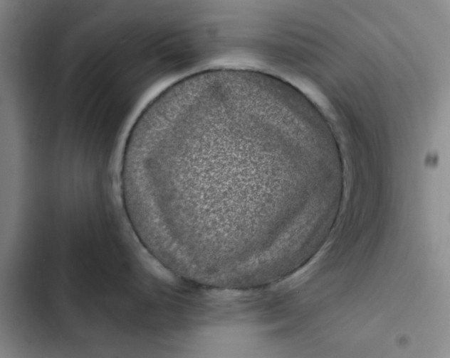 X0000102481248200808221659