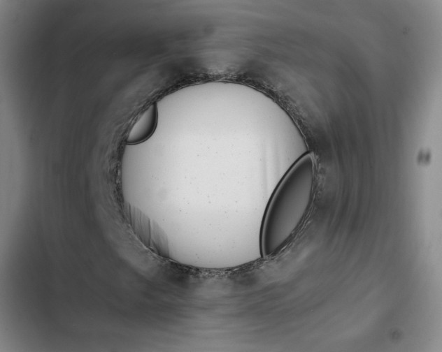 X0000102481249200808221659