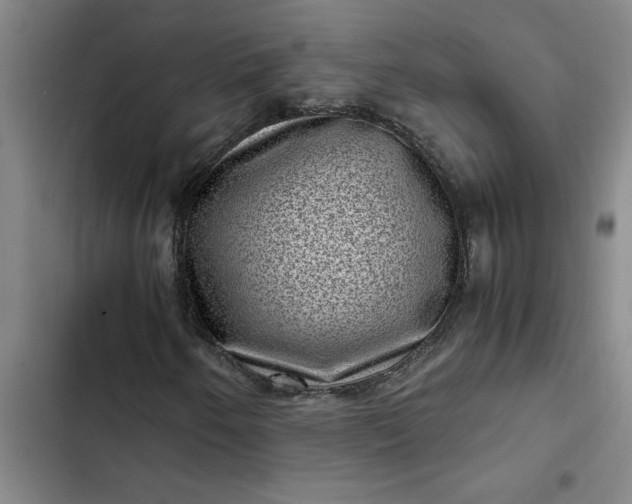 X0000102481250200808221659