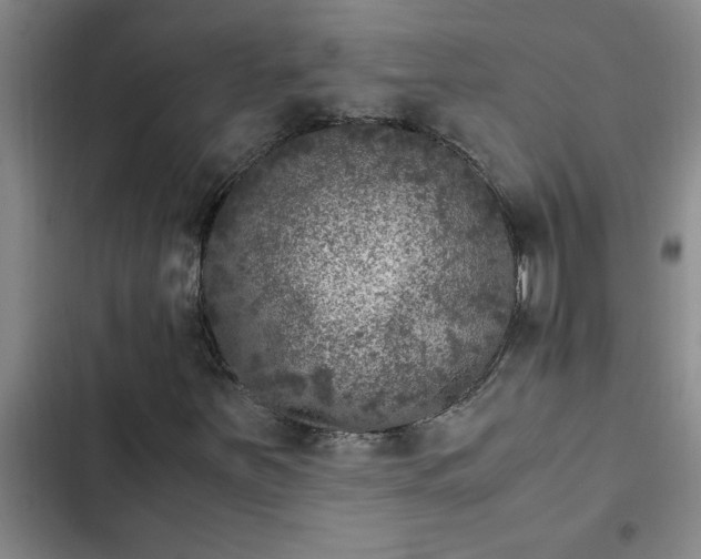 X0000102481251200808221659