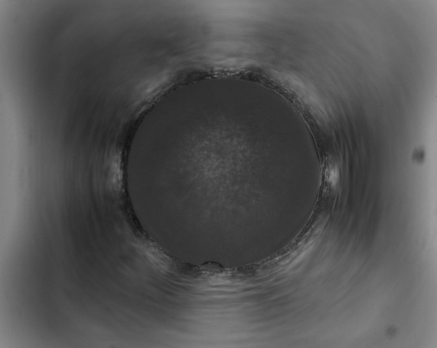 X0000102481252200808221659