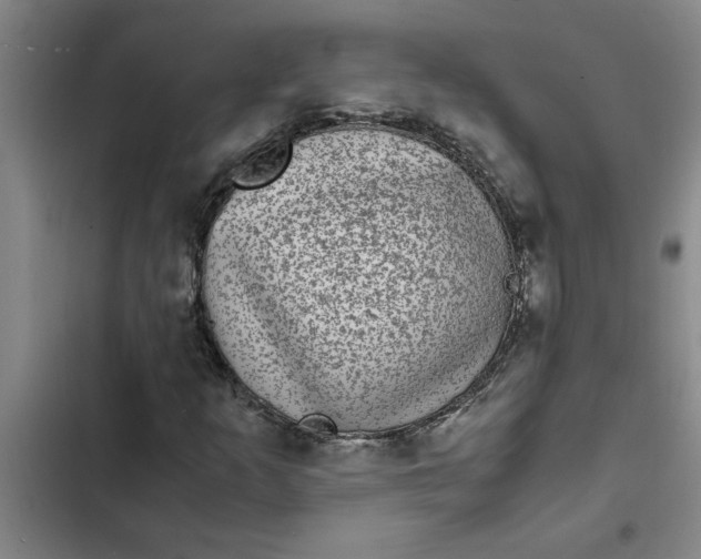 X0000102481253200808221659