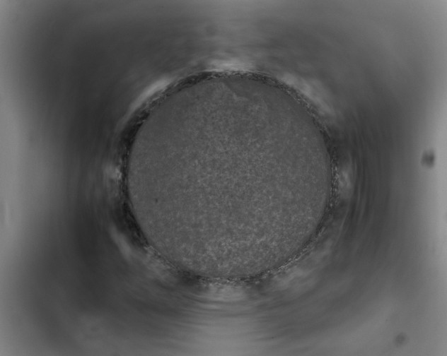 X0000102481254200808221659