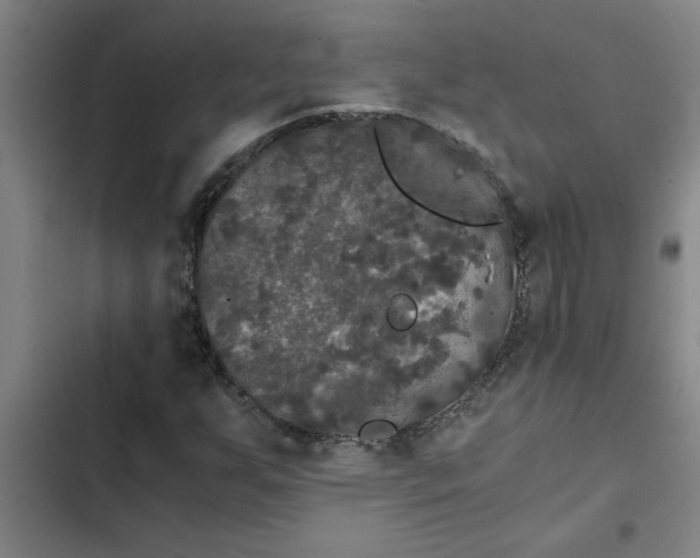 X0000102481255200808221659