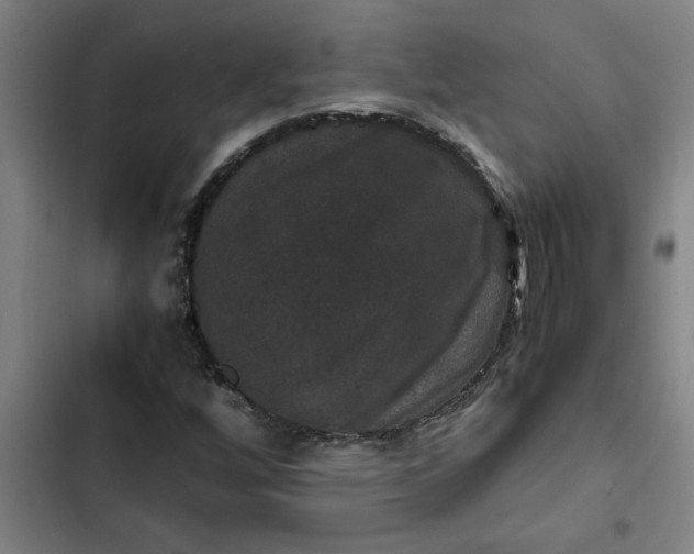 X0000102481256200808221659