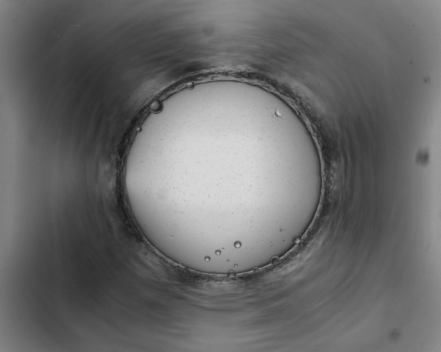 X0000102481257200808221659