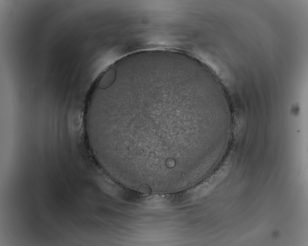 X0000102481259200808221659