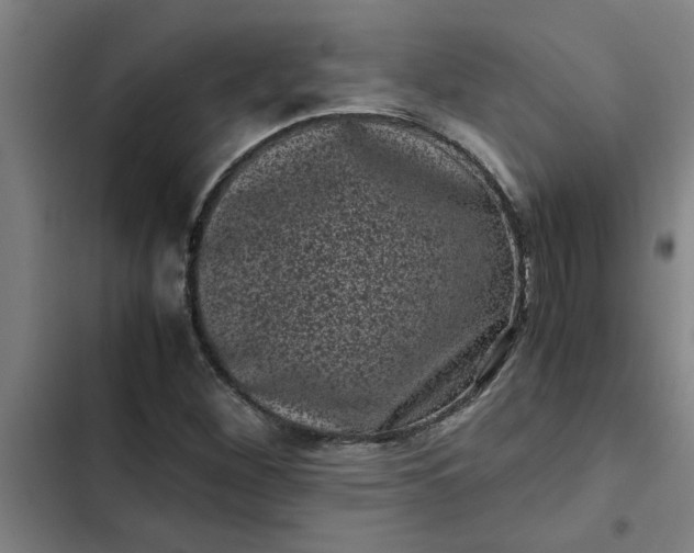 X0000102481260200808221659