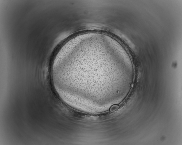 X0000102481261200808221659