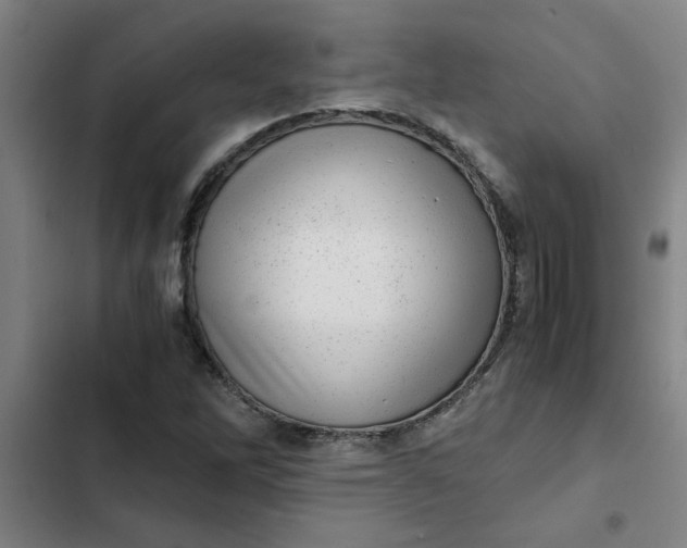 X0000102481262200808221659