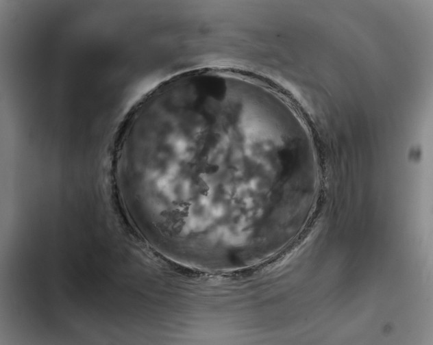 X0000102481263200808221658