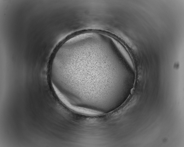 X0000102481264200808221658